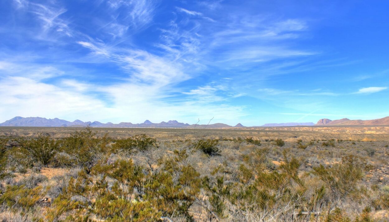 Big Bend National Park