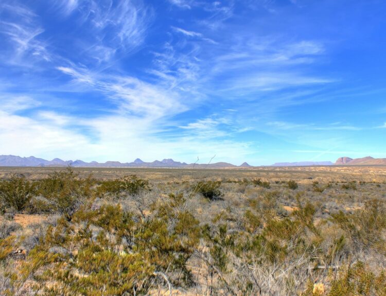 Big Bend National Park