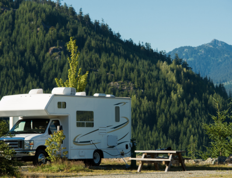 Turn on the RoverPass badge of excellence.