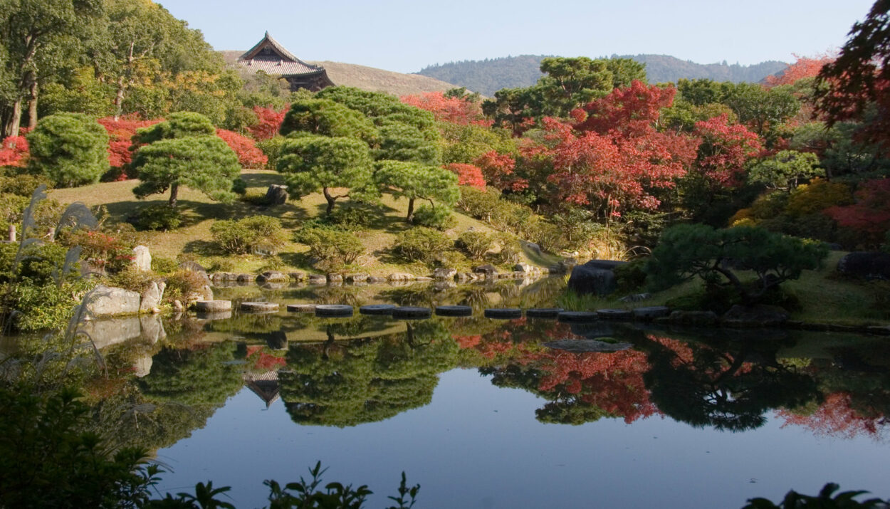 camping in japan