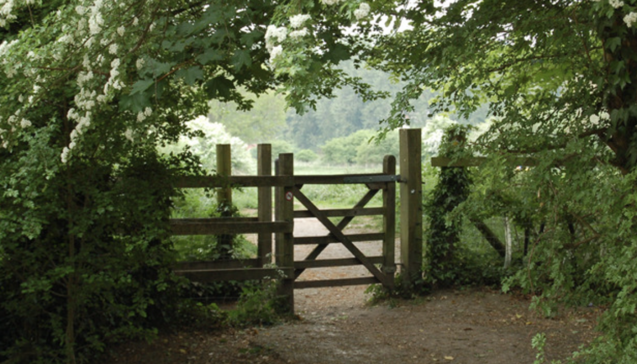 gate of a campground in the forest