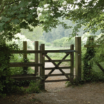 gate of a campground in the forest