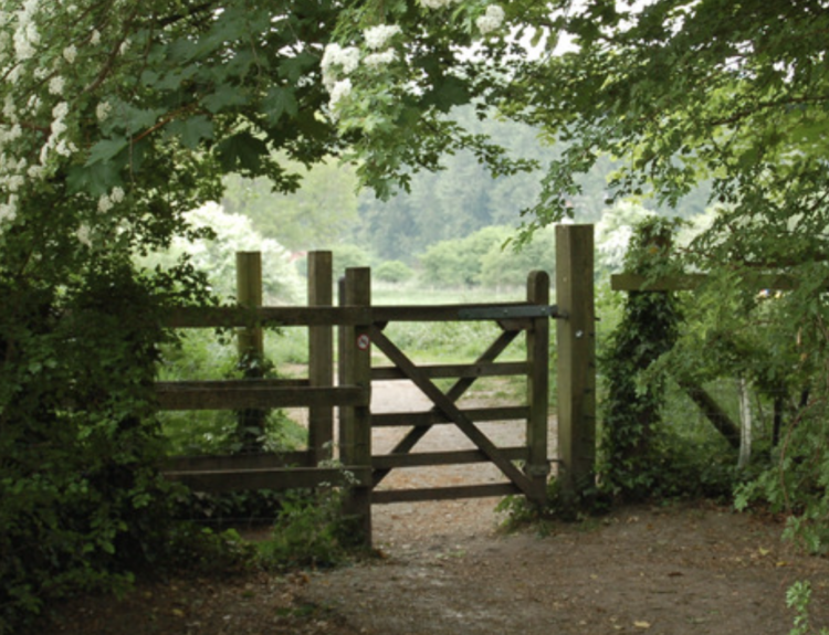 gate of a campground in the forest