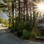 RV park in the woods in Milford Sound, Fiordland National Park, New Zealand