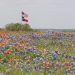 Texas RV Parks