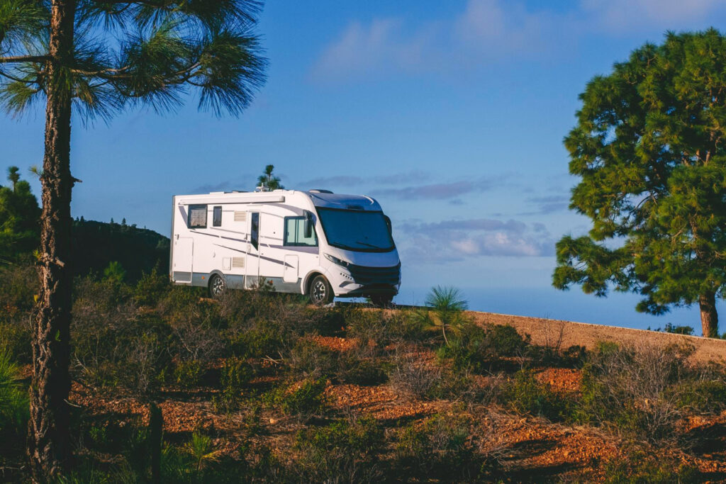 Blue and white camper in the forest in broad daylight 