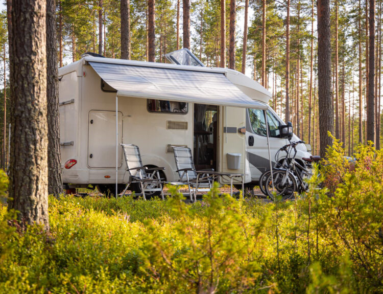 A white and grey camper van with two chairs outside in a low point of view at the forest