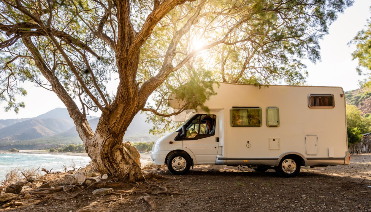 white camper next to a tree in nature