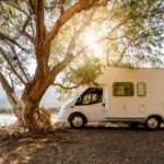 white camper next to a tree in nature