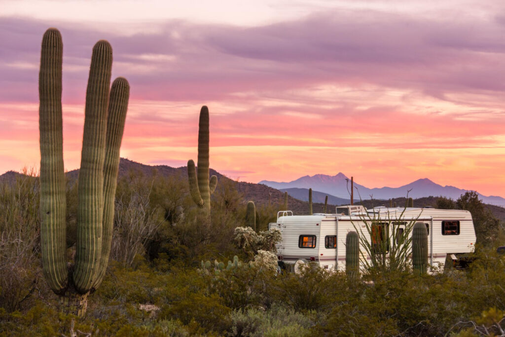 A camper in the desert at sunset with a few cactus 