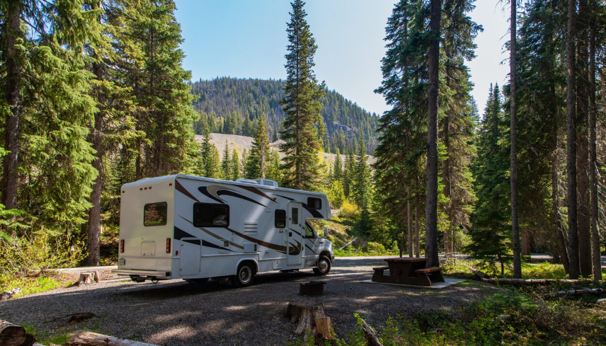 A white and brown curvy lines camper in the forest with pine trees and a blue sky