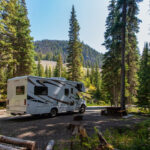 A white and brown curvy lines camper in the forest with pine trees and a blue sky