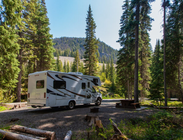 A white and brown curvy lines camper in the forest with pine trees and a blue sky