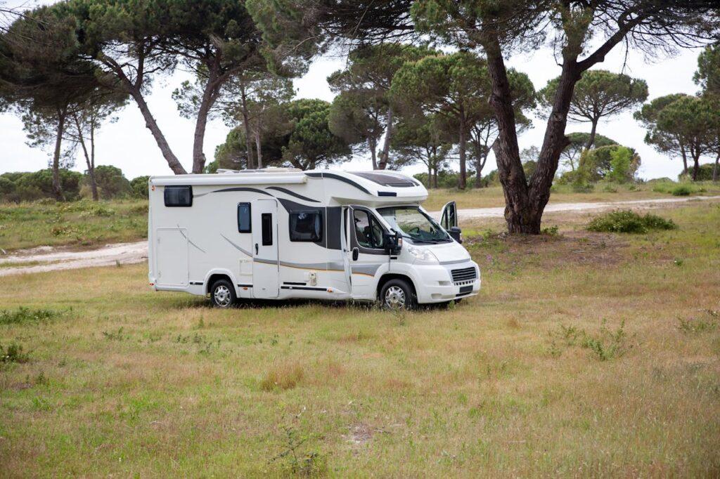 A white and grey camper van enjoying a stay in a RV park