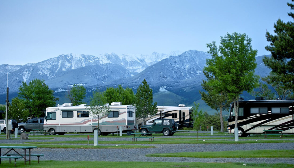 a group of camper vans in a campground spot