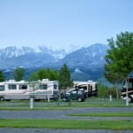 a group of camper vans in a campground spot