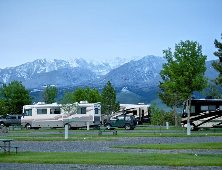 a group of camper vans in a campground spot