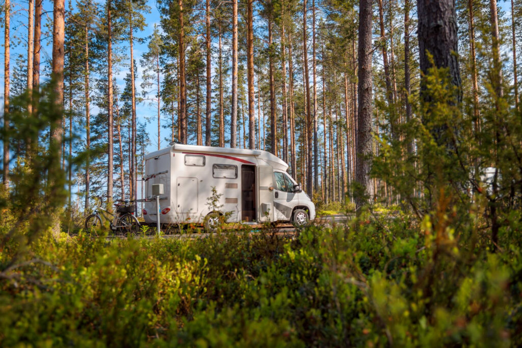 A white camper van with a lot of trees arround it 