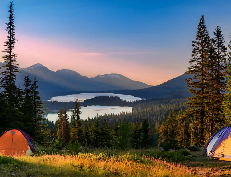 a panoramic view of a camping in the forest on a mountain with the sunet to the left