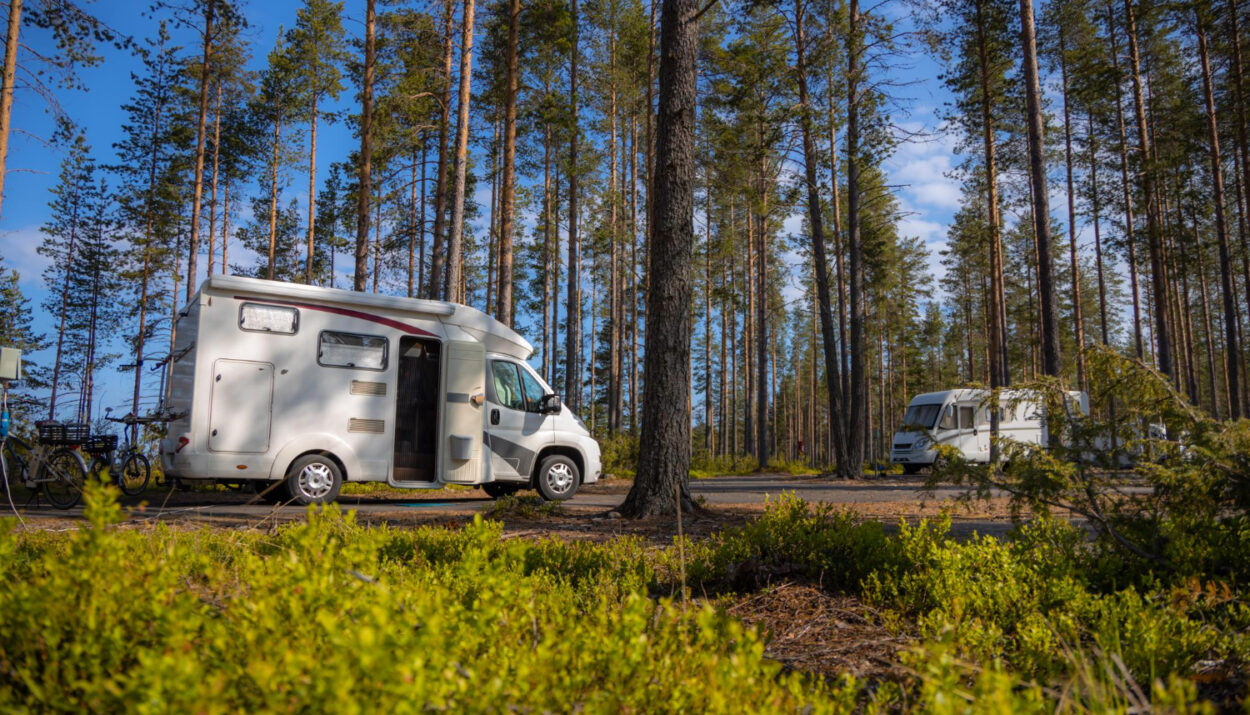 A white campground in nature with a lot of trees surround them