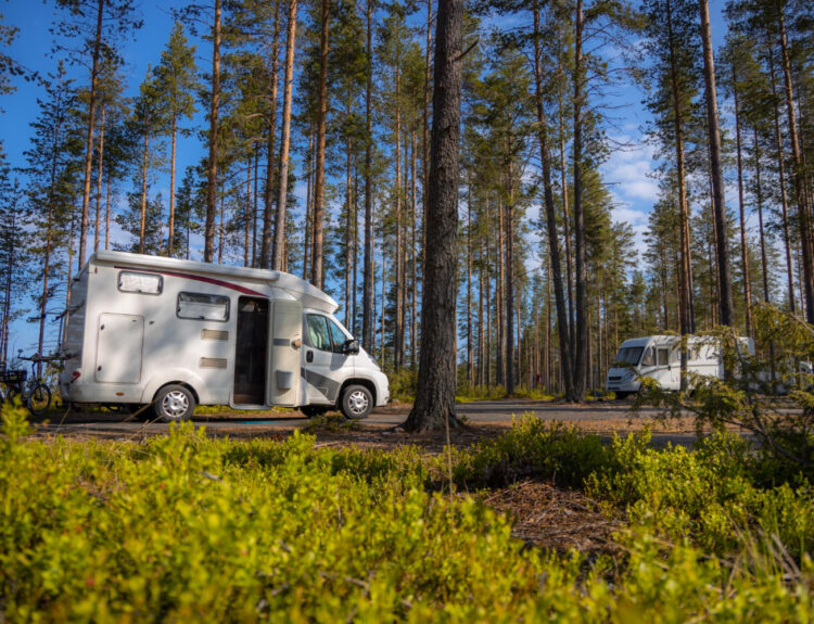 A white campground in nature with a lot of trees surround them