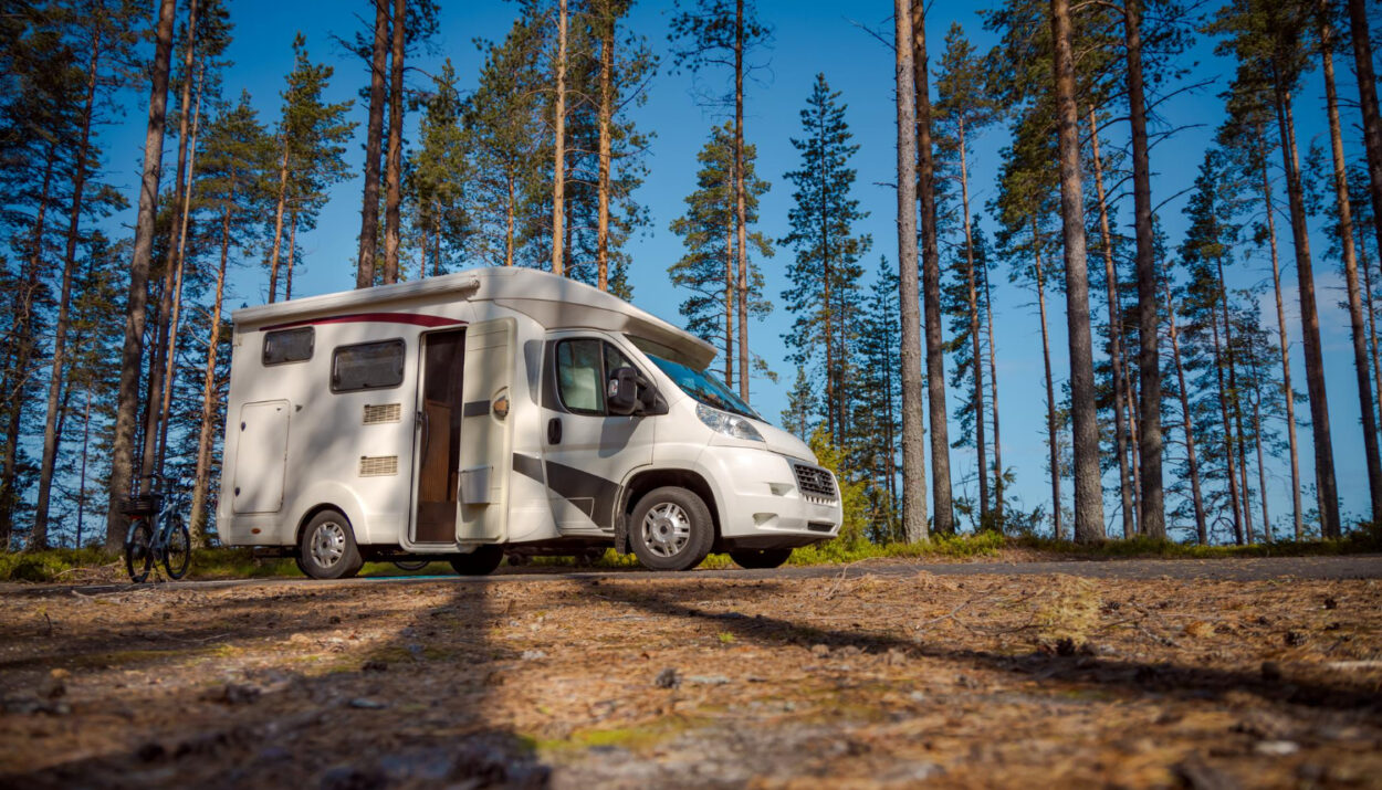 A white and grey camper van surrounded by trees in nature