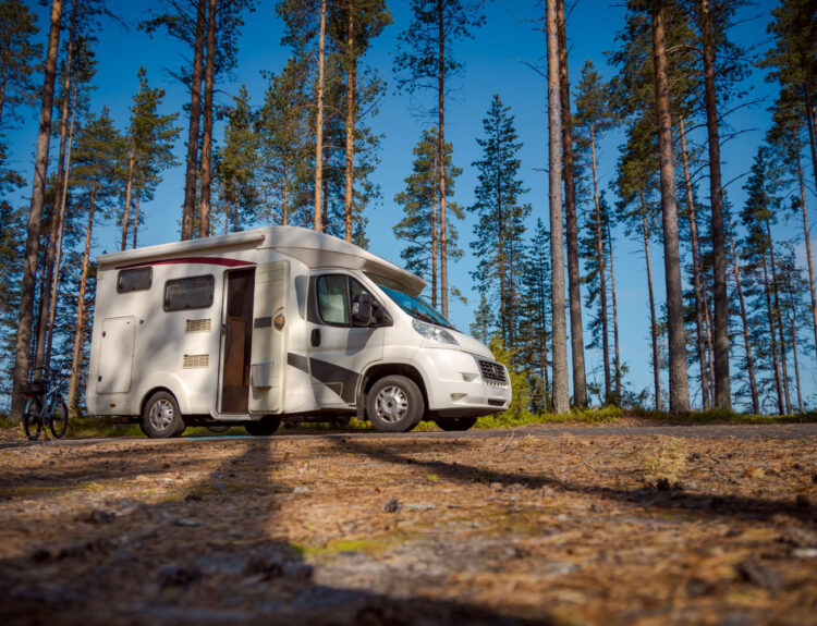 A white and grey camper van surrounded by trees in nature