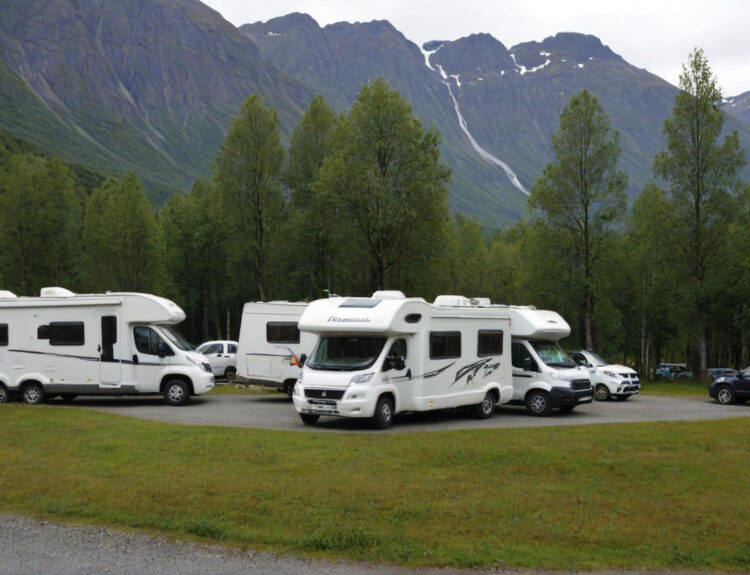 a bunch of camper vans staying in a RV park using reservation software