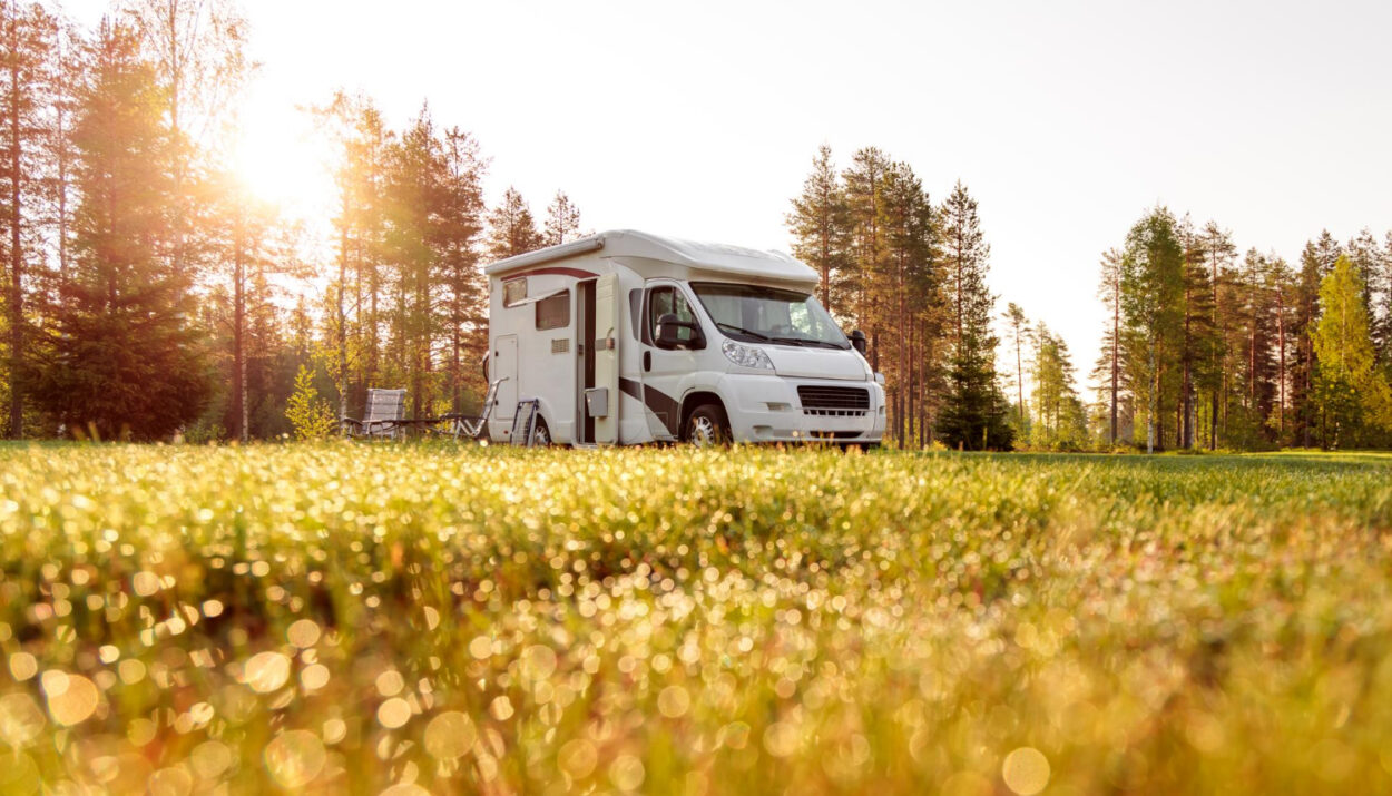 a low pov of a camper van in the forest with the sun on the left