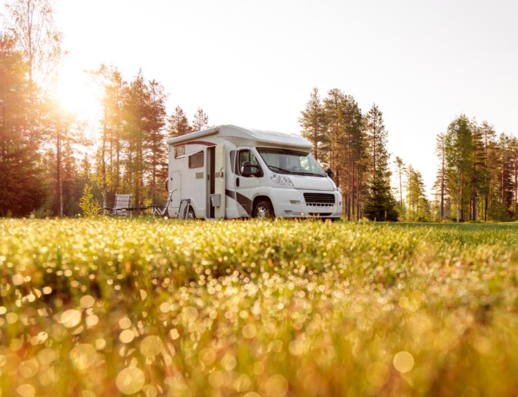 a low pov of a camper van in the forest with the sun on the left