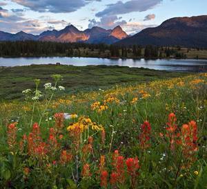 Molas 2024 pass campground