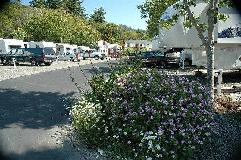 Riverside Rv Park Brookings Or 1