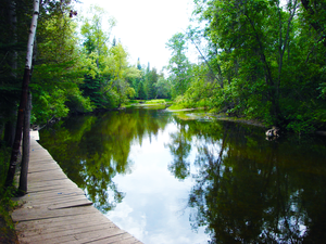 Escape to Adventure: Michigan's Paddle Brave Canoe & Campground