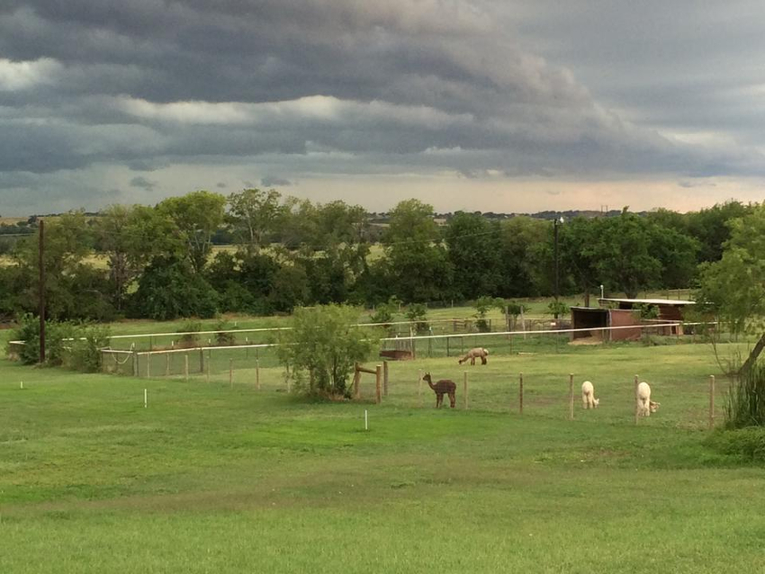 Wagon Master Rv Park Sanger Tx 3