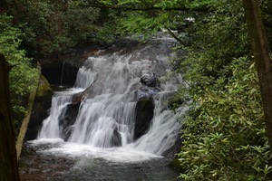 Escape to the Enchanting Long Ridge Campground: Your Georgia Getaway Awaits