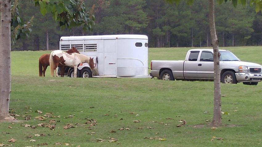 Heart Of Dixie Trail Ride  Llc Troy Al 2