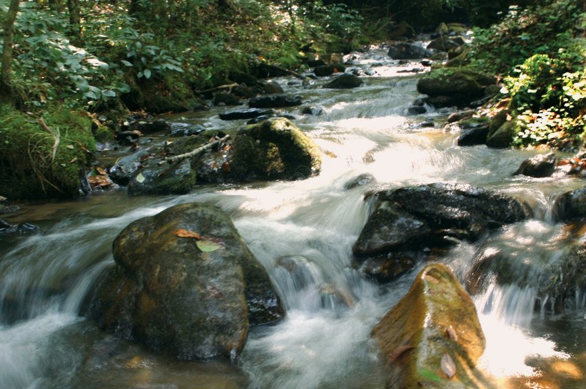 Moonshine Creek Campground Sylva Nc 1