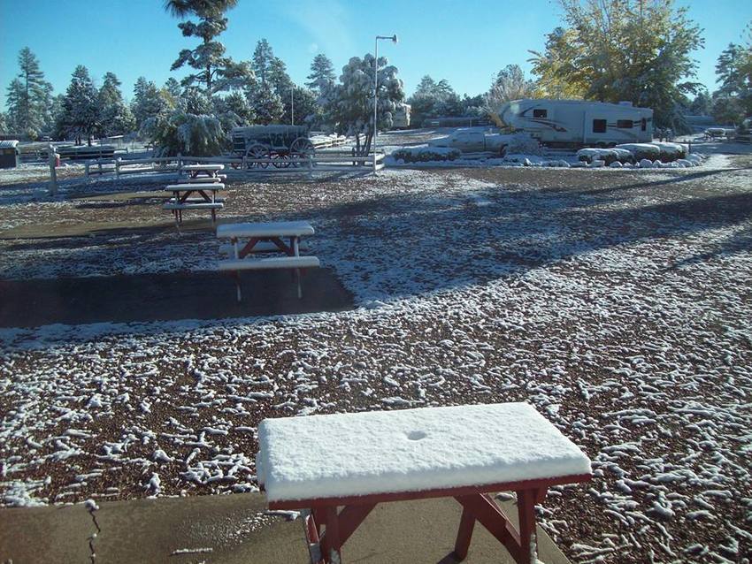 Elk Pines Rv Resort Overgaard Az 1