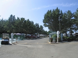 Long Beach, Washington RV Park & Camp