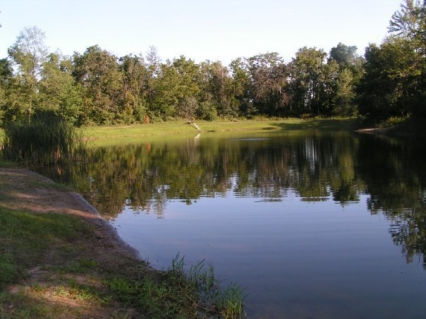 Vista Royalle Campground Bancroft Wi 1