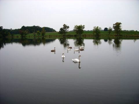 Lakeview Campground Rochester In 2