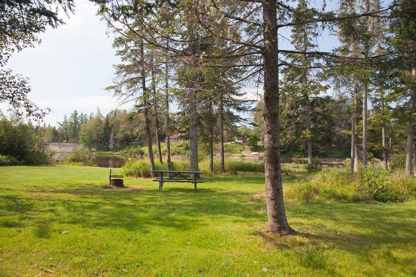 Moose River Campground   Cabins Moose River Me 2