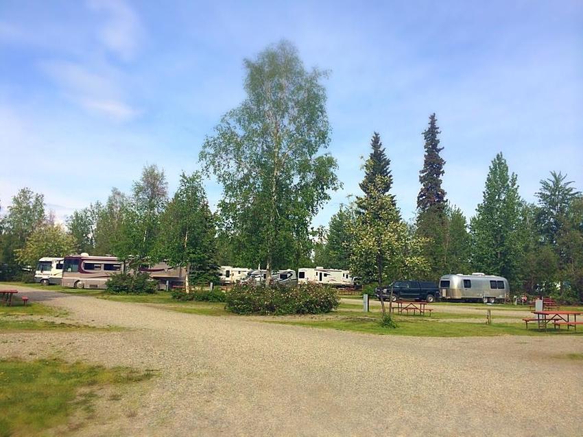 Salcha River Campground - - Salcha, AK - RoverPass