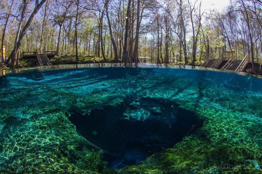 Ginnie Springs Outdoors High Springs Fl 4