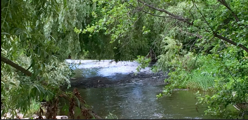 Woodstream Campsite Gainesville Ny 2