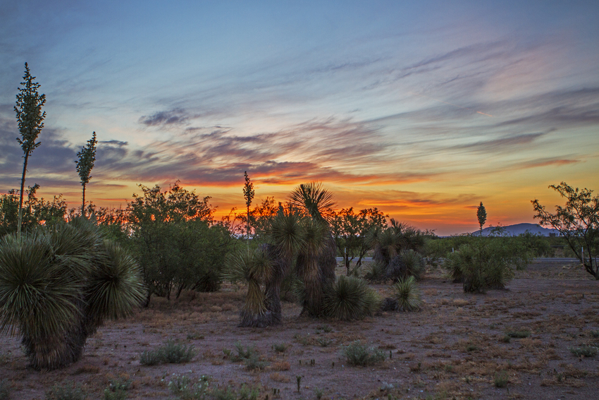 A Deming Roadrunner RV Park - 17 Photos, 2 Reviews - Deming, NM