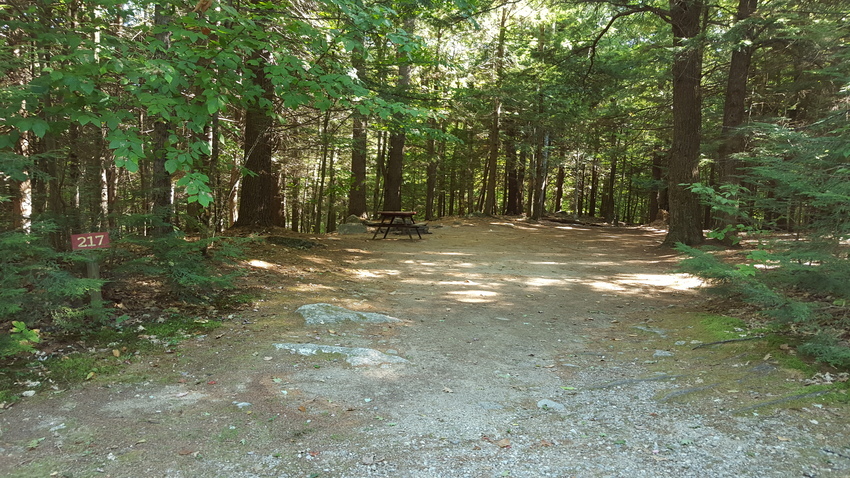 Harbor Hill Camping Area Meredith Nh 16