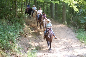 fork rocky ranch resort kimbolton oh overview