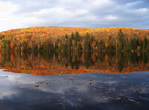 Ricker Pond State Park - 4 Photos - Groton, VT - RoverPass