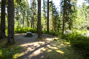 Boulder Creek Campground - 4 Photos - Tiller, OR - RoverPass